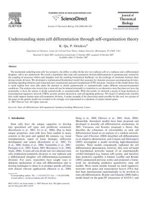 Understanding Stem Cell Differentiation Through Self-Organization Theory