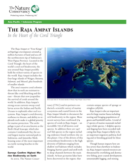 The Raja Ampat Islands in the Heart of the Coral Triangle