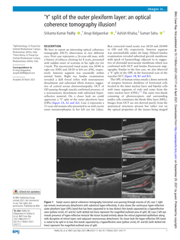 'Y' Split of the Outer Plexiform Layer: an Optical Coherence Tomography