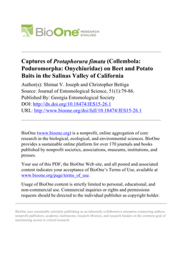 Captures of Protaphorura Fimata (Collembola: Poduromorpha: Onychiuridae) on Beet and Potato Baits in the Salinas Valley of California Author(S): Shimat V