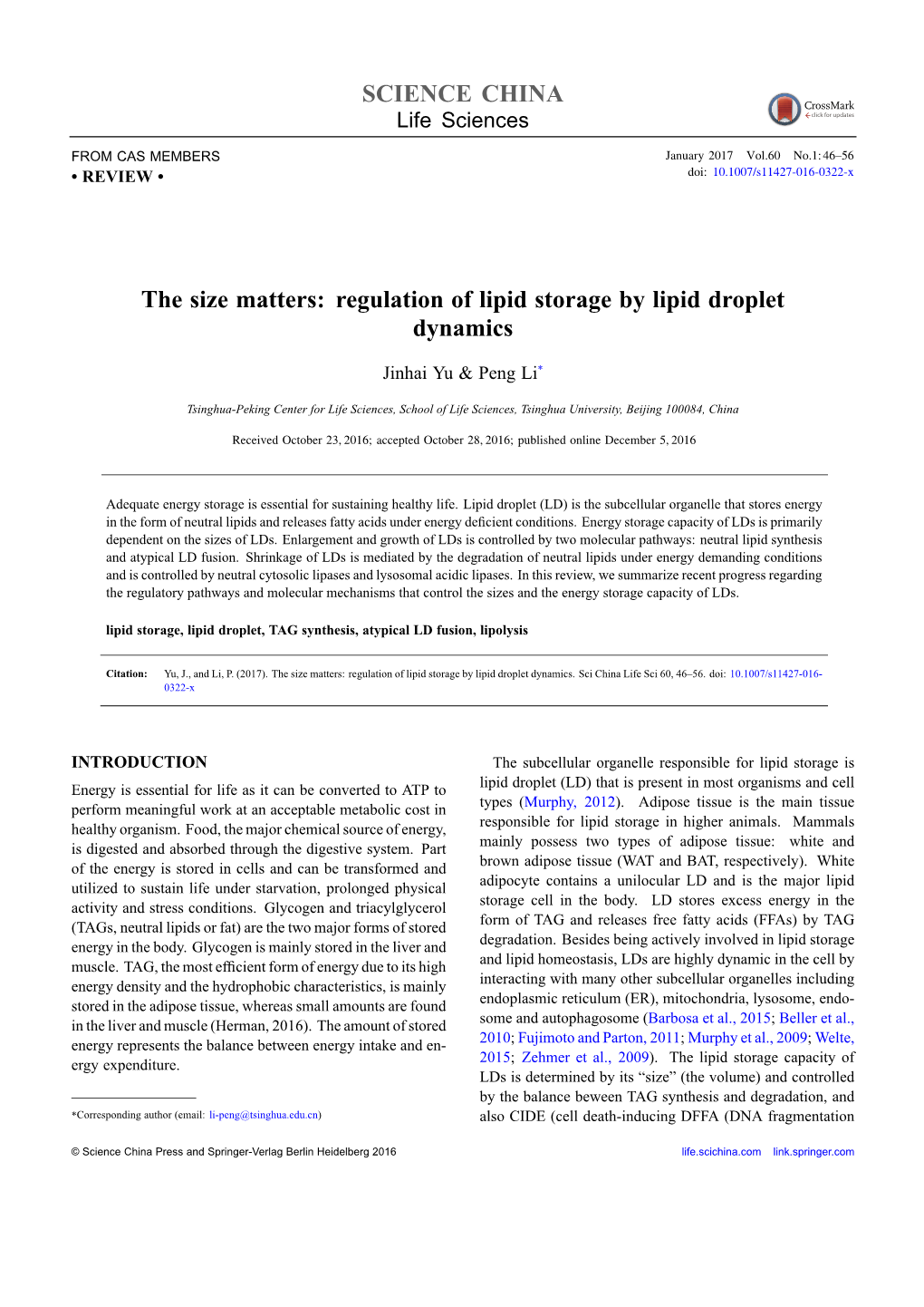 The Size Matters: Regulation of Lipid Storage by Lipid Droplet Dynamics