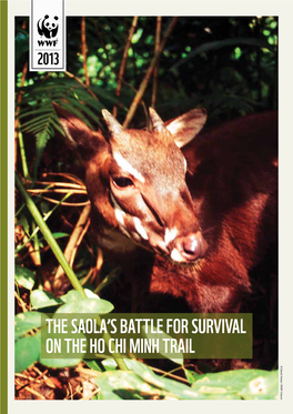 The Saola's Battle for Survival on the Ho Chi Minh Trail