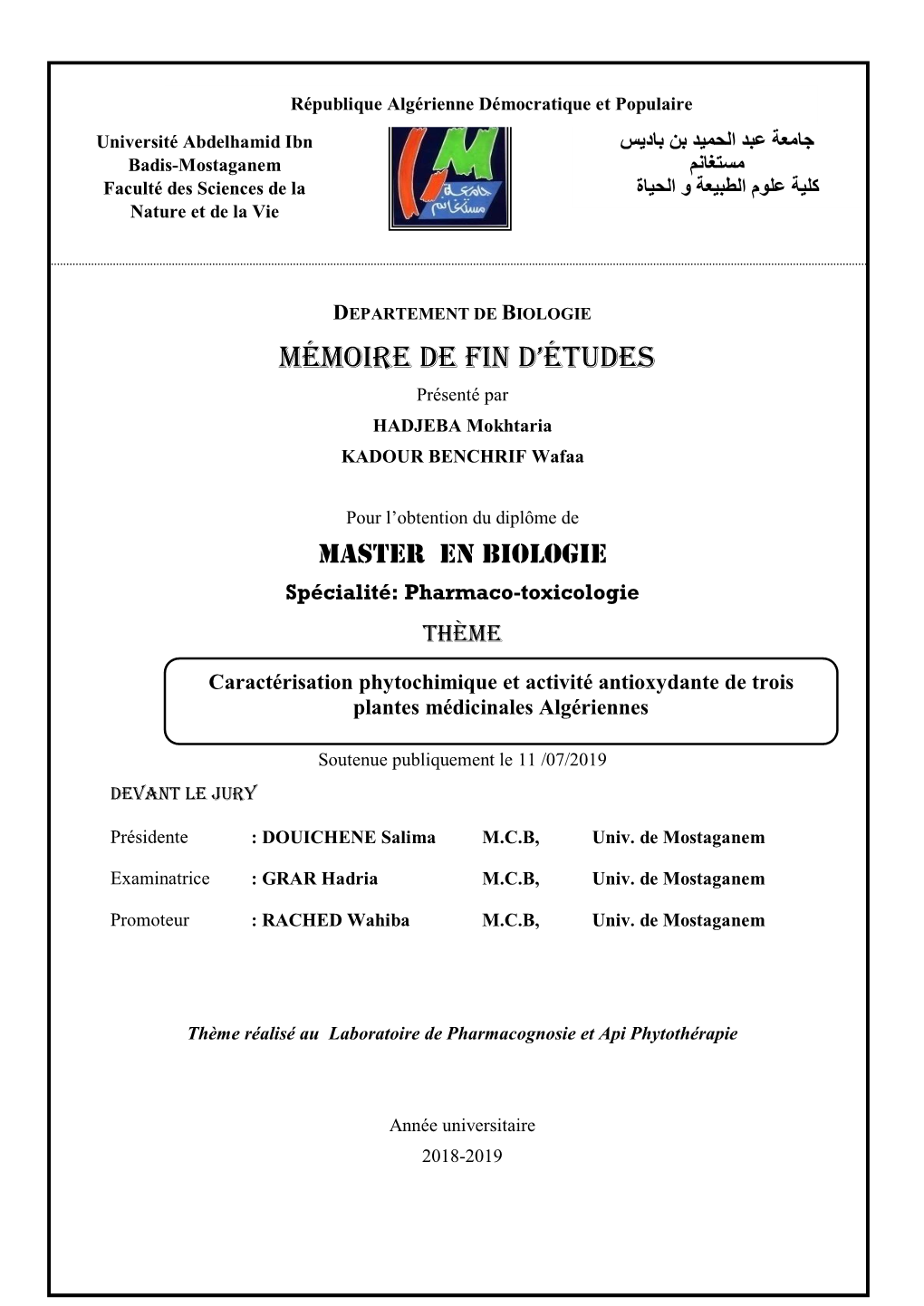 Mémoire De Fin D'études