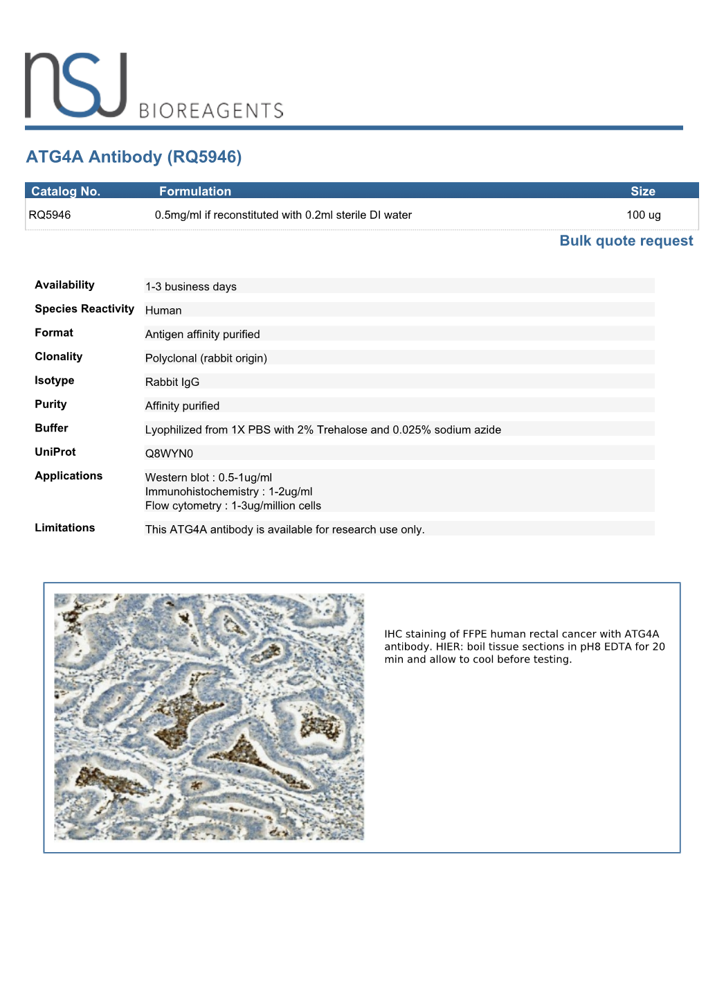 ATG4A Antibody (RQ5946)