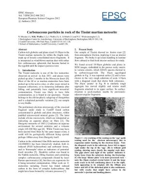 Carbonaceous Particles in Rock of the Tissint Martian Meteorite