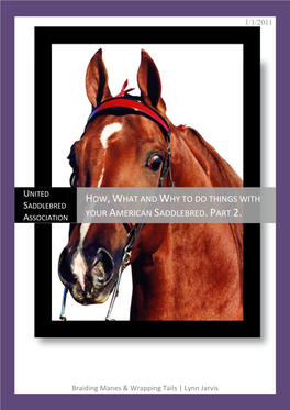 How, What and Why to Do Things with Your American Saddlebred. Part 1