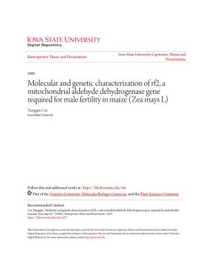 Molecular and Genetic Characterization of Rf2, A