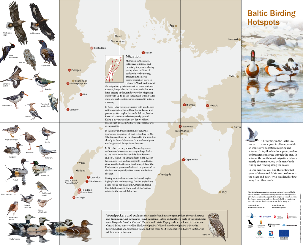 Baltic Birding Hotspots