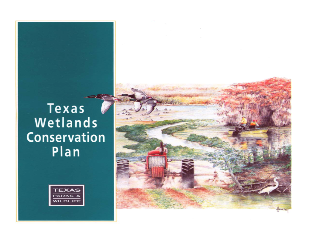 Texas Wetland Conservation Plan