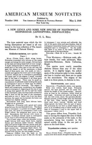 AMERICAN MUSEUM NOVITATES Published by Number 1064 the AMERICAN MUSEUM of NATURAL HISTORY May 2, 1940 New York City