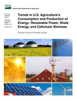 Renewable Power, Shale Energy, and Cellulosic Biomass, EIB-159, U.S