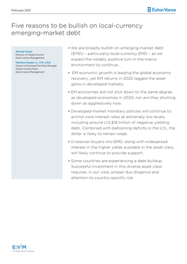 Five Reasons to Be Bullish on Local-Currency Emerging-Market Debt