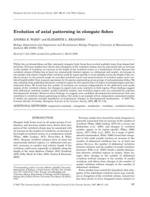 Ward, A.B. and E. L. Brainerd. 2007. Evolution of Axial Patterning In