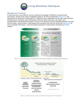 Living Shorelines Techniques