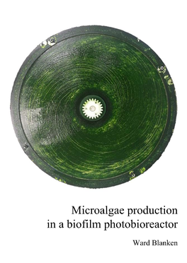 Microalgae Production in a Biofilm Photobioreactor