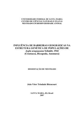 BITENCOURT, JOAO VITOR TRINDADE.Pdf (489.4Kb)