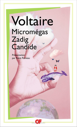 Micromégas Zadig Candide