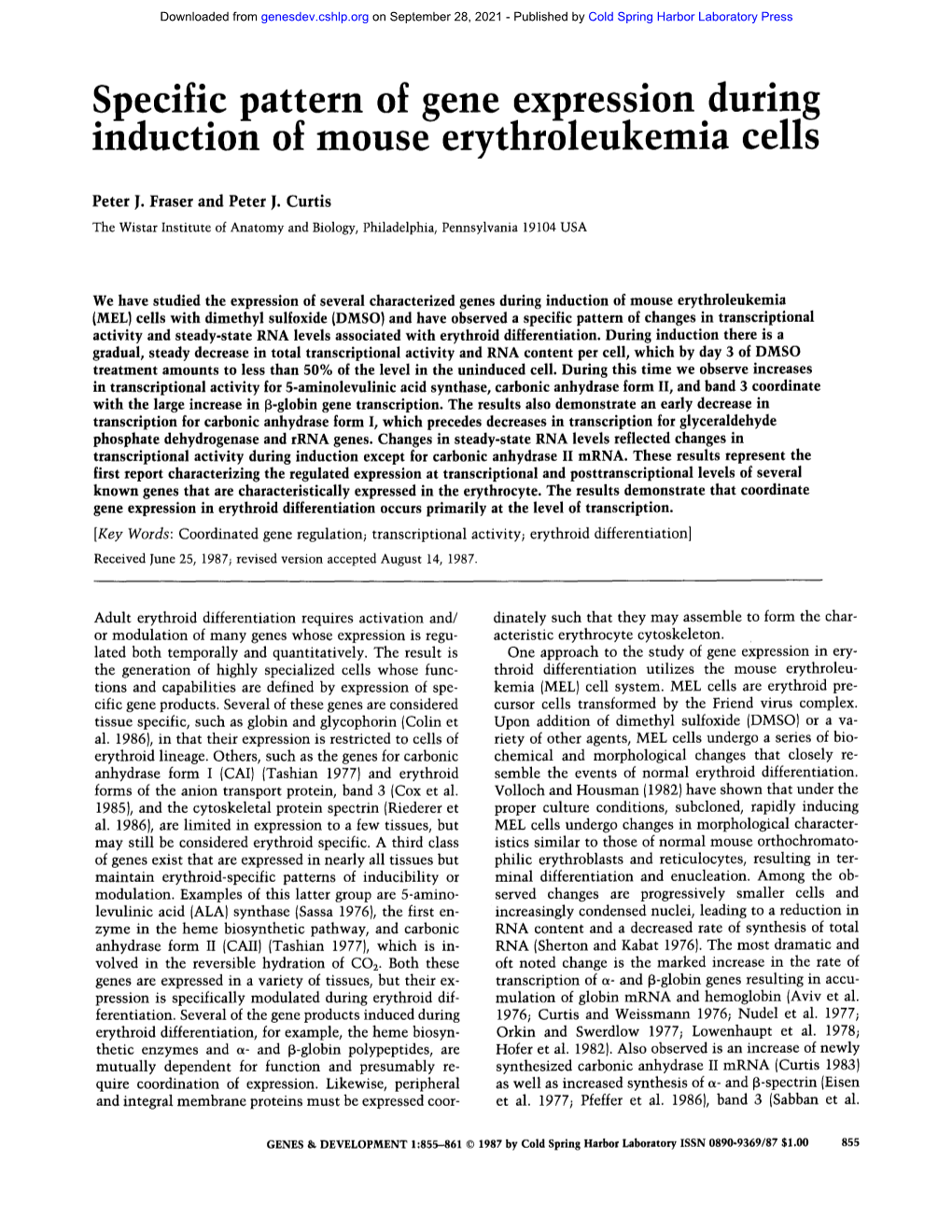 Specific Pattern of Gene Expression During Induction of Mouse Erythroleukemia Cells