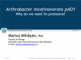 Arthrobacter Nicotinovorans Pao1 Why Do We Need Its Proteome?