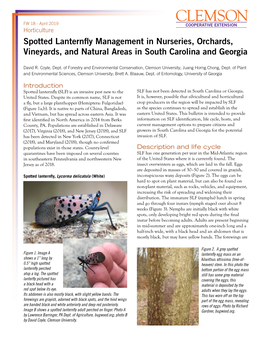 Spotted Lanternfly Management in Nurseries, Orchards, Vineyards, and Natural Areas in South Carolina and Georgia