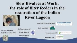 The Role of Filter Feeders in the Restoration of the Indian River Lagoon