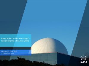 Young Voices on Nuclear Energy's Contribution to a Net Zero World