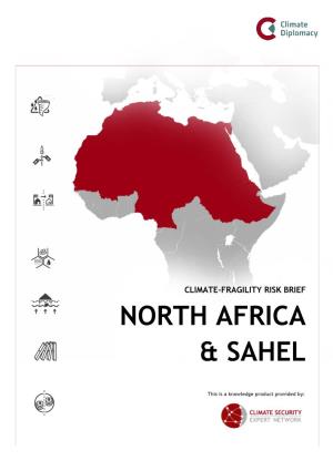 Risk Brief: North Africa & Sahel