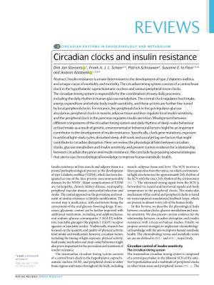 Circadian Clocks and Insulin Resistance