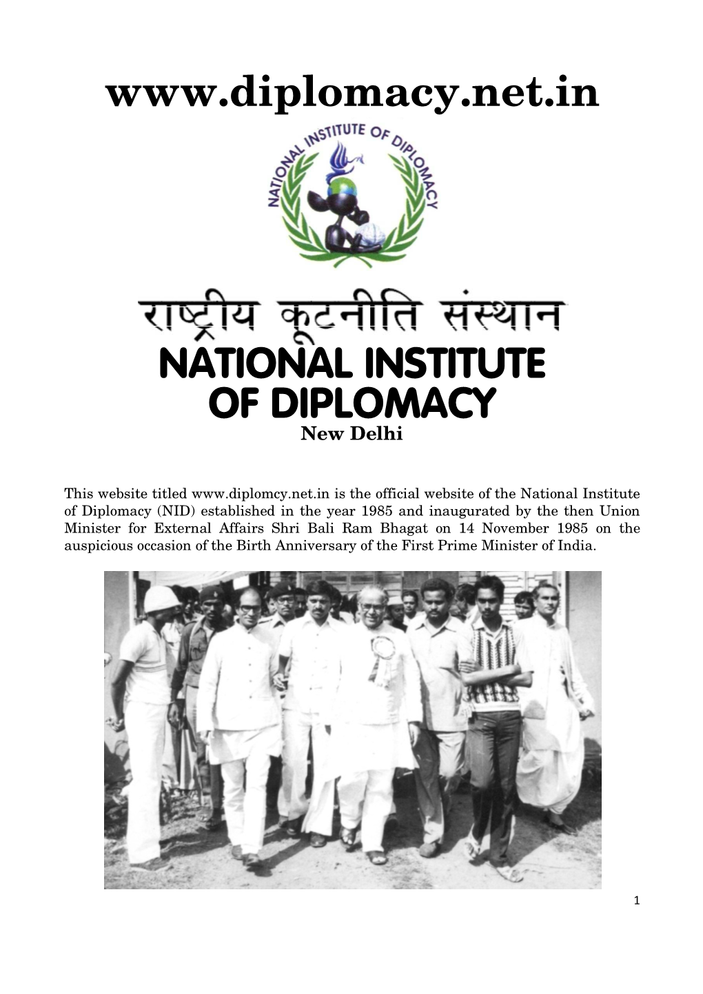 National Institute of Diplomacy