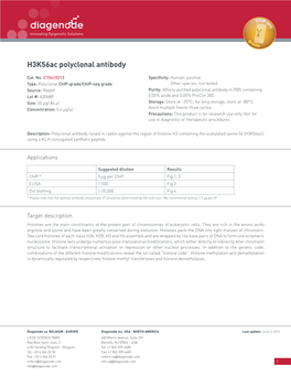 H3k56ac Polyclonal Antibody
