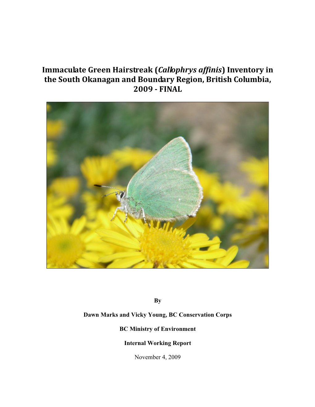 Immaculate Green Hairstreak (Callophrys Affinis) Inventory in the South Okanagan and Boundary Region, British Columbia, 2009 - FINAL