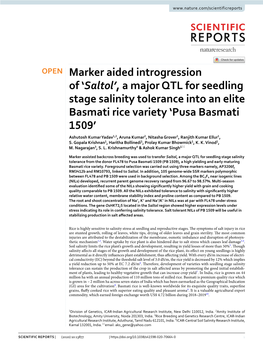 A Major Qtl for Seedling Stage Salinity Tolerance Into an Elite Basmati Rice