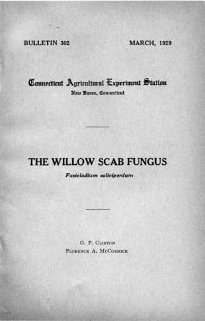 The Willow Scab Fungus, Fusicladuim Saliciperdum