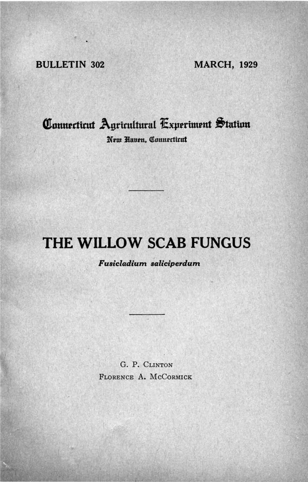 The Willow Scab Fungus, Fusicladuim Saliciperdum