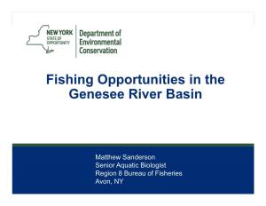 Fishing Opportunities in the Genesee River Basin