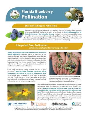 Florida Blueberry Pollination Factsheet