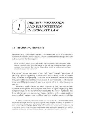 Possession and Dispossession in Property Law on Another Person’S Property (We Call It a Restrictive Covenant Or a Servitude)