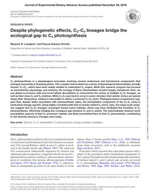 Despite Phylogenetic Effects, C3–C4 Lineages Bridge the Ecological Gap to C4 Photosynthesis
