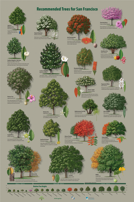 Recommended Trees for San Francisco