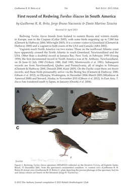 First Record of Redwing Turdus Iliacus in South America