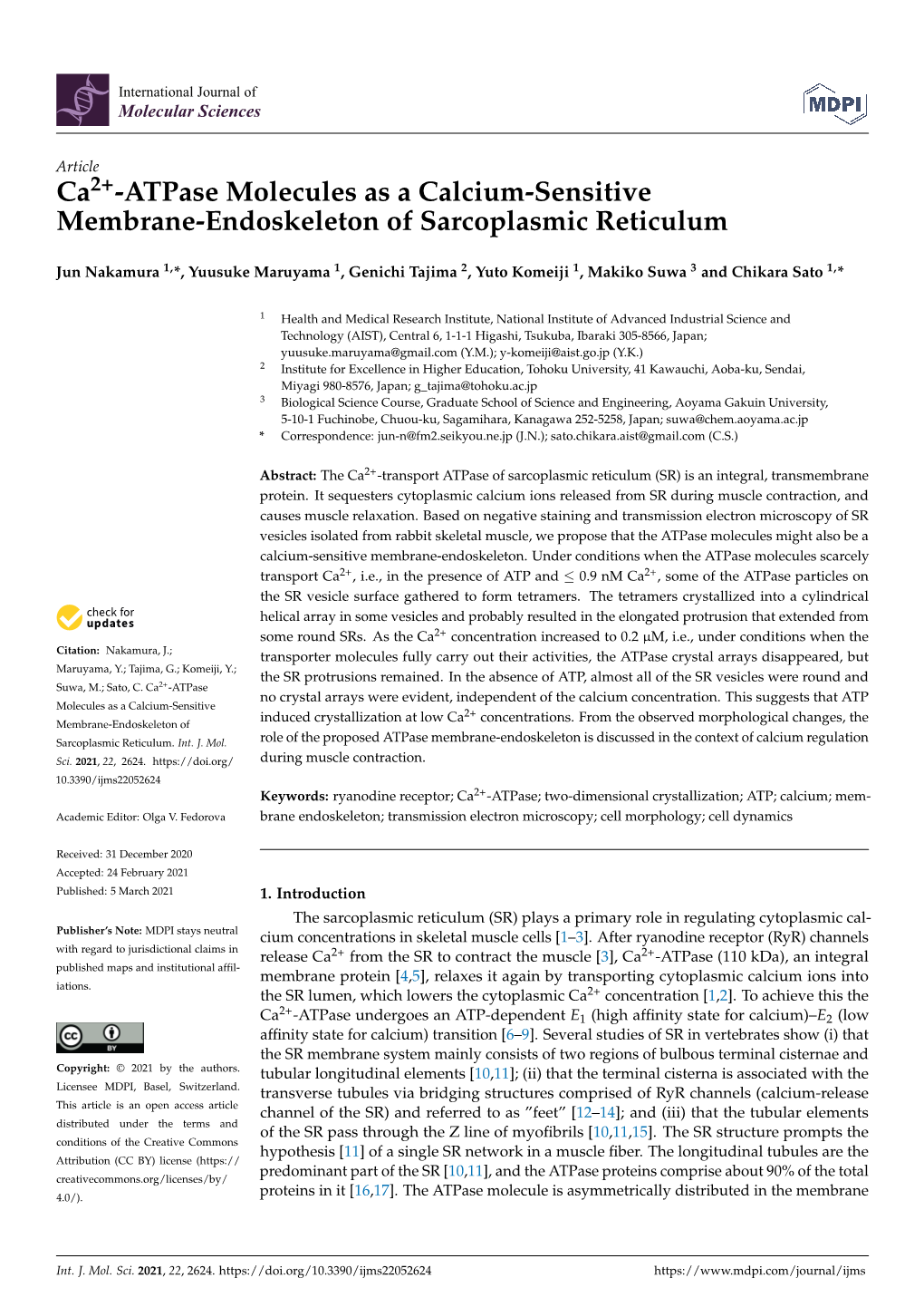 Ca2+-Atpase Molecules As a Calcium-Sensitive Membrane-Endoskeleton of Sarcoplasmic Reticulum