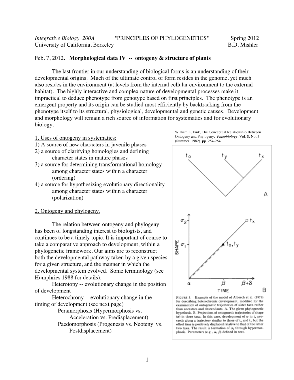 Ontogeny and Plants