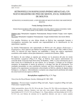 Retrophyllum Rospigliosii (Podocarpaceae), Un Nuevo Registro De Pino De Monte, En El Noroeste De Bolivia