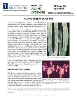 Mosaic Diseases of Iris