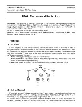 TP 01 : the Command Line in Linux