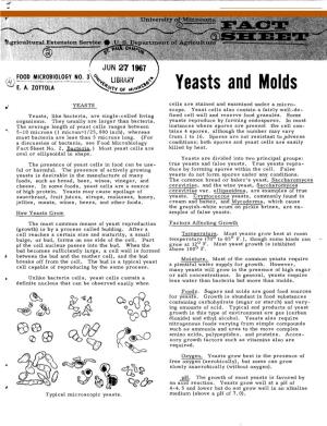 Yeasts and Molds