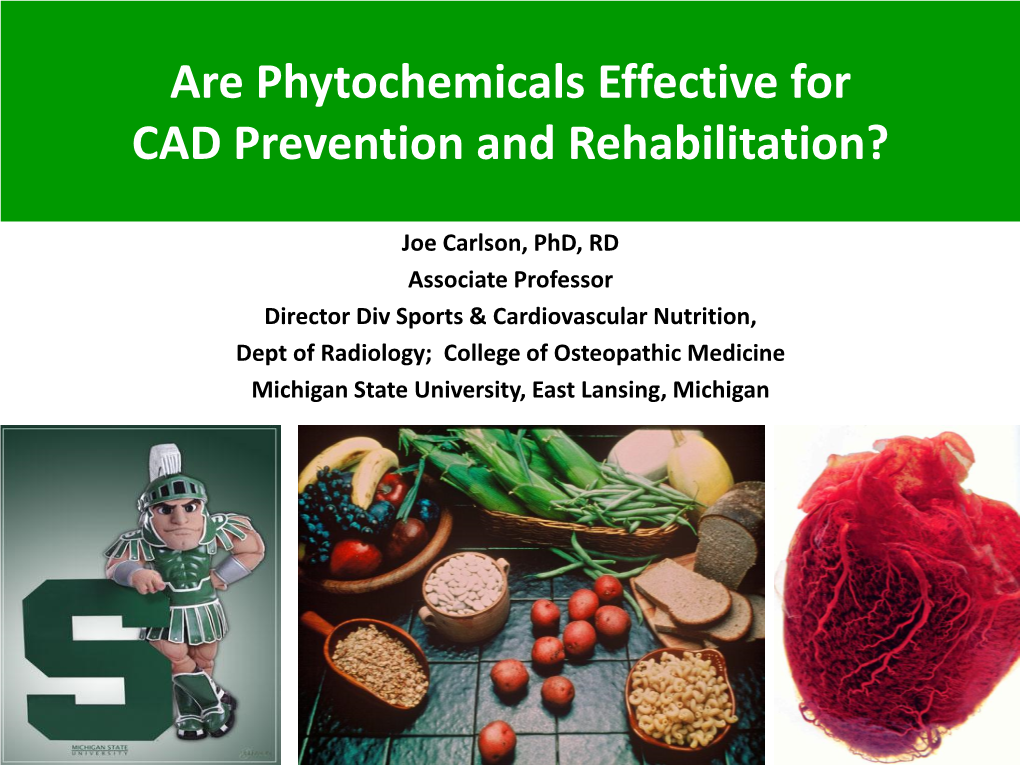 Are Phytochemicals Effective for CAD Prevention and Rehabilitation?