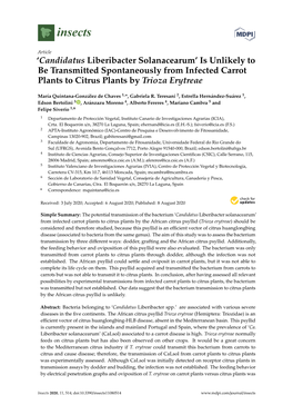 Candidatus Liberibacter Solanacearum’ Is Unlikely to Be Transmitted Spontaneously from Infected Carrot Plants to Citrus Plants by Trioza Erytreae