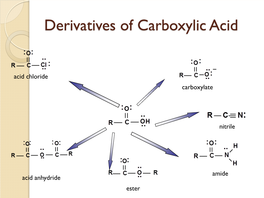 Derivatives of Carboxylic Acid