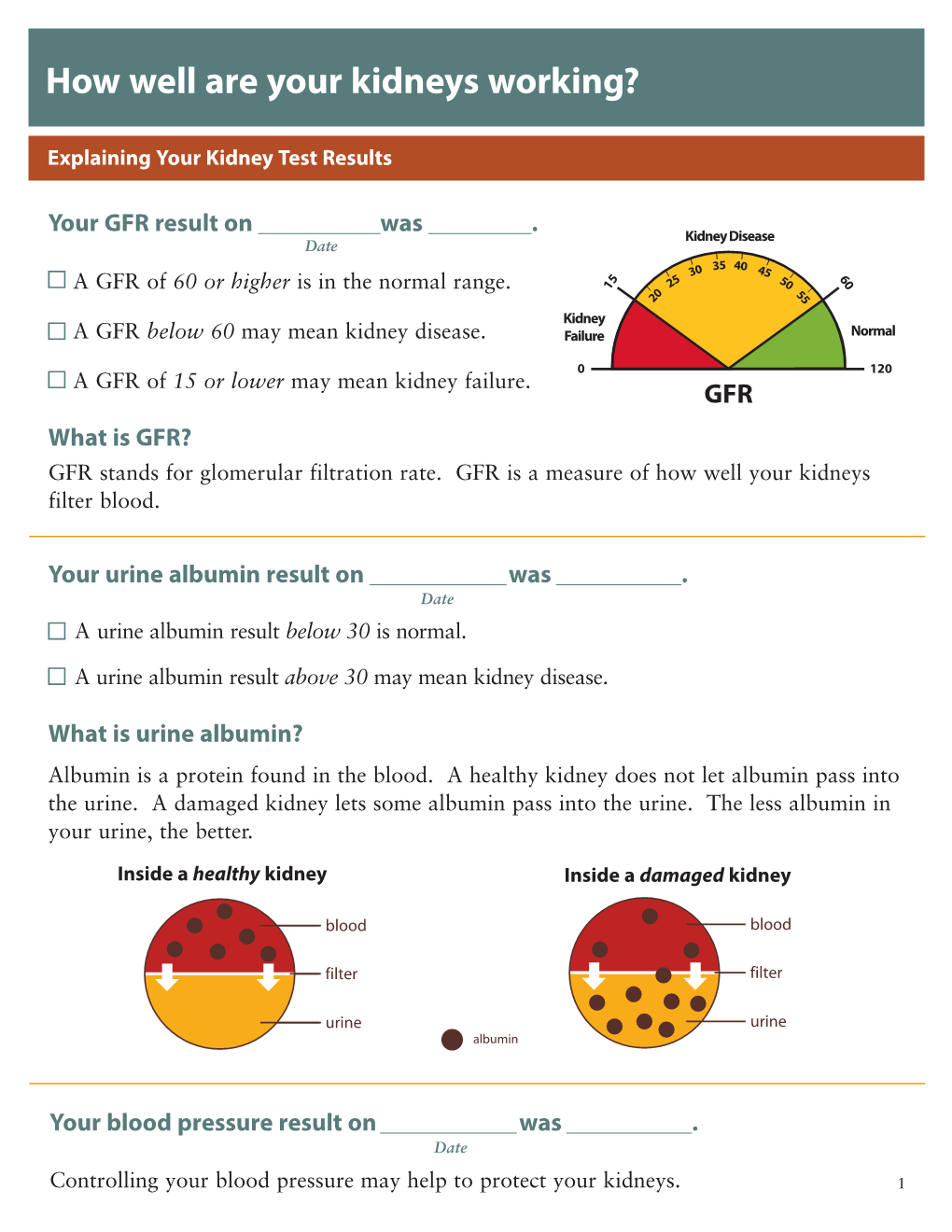 How Well Are Your Kidneys Working?